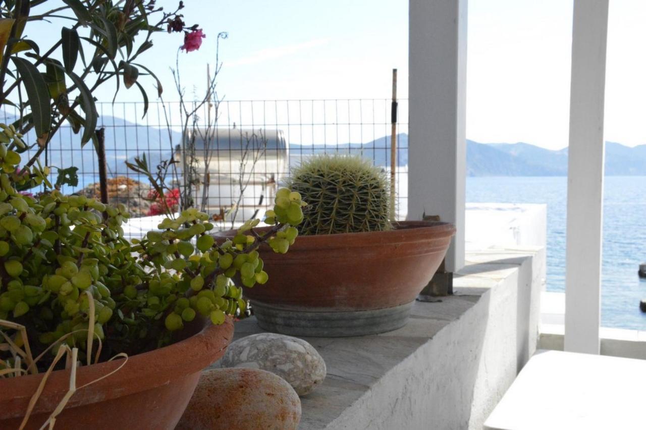 Thalassophile Eco House Vila Plaka  Exterior foto